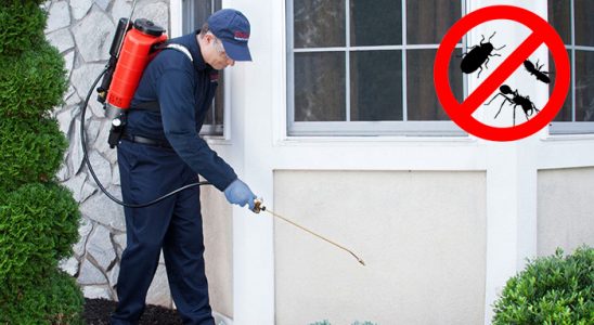 Ağlı Tahtakurusu İlaçlama böcek ilaçlama ve haşere kontrolü — ilaclama-tr.com